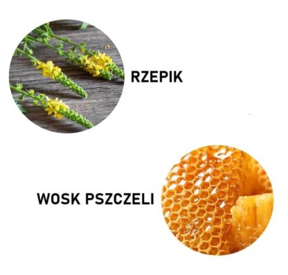 Maść przeciwzapalna z rzepikiem na hemoroidy i żylaki 150 ml - obrazek 2