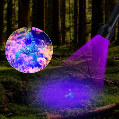 Mocna Latarka UV LED Taktyczna Wojskowa Ręczna Szperacz do Bursztynu Kieszonkowa - obrazek 8