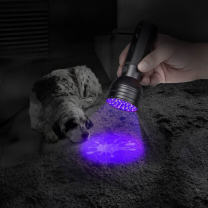 Mocna Latarka UV LED Taktyczna Wojskowa Ręczna Szperacz do Bursztynu Kieszonkowa - obrazek 5