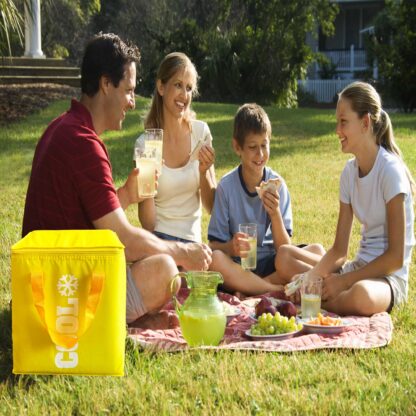 Torba Termiczna Termoizolacyjna Na Jedzenie Plażowa Lodówka Turystyczna 24L - obrazek 4