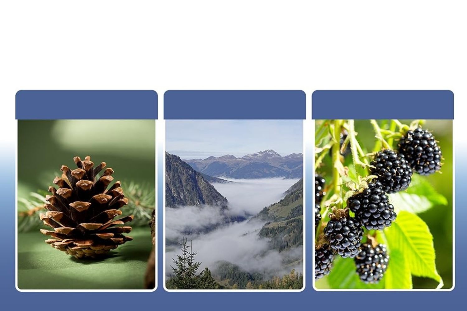 Wosk Zapachowy Woski Zapachowe do Kominka Zapachowego Odświeżacz do Domu 12 szt. 6 Wosk Zapachowy Woski Zapachowe do Kominka Zapachowego Odświeżacz do Domu 12 szt. - obrazek 6